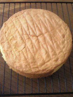 基本のスポンジケーキ-レシピのメイン写真