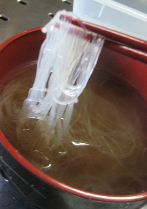 緑豆フォー-レシピのメイン写真