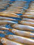 ワカサギの醤油干し