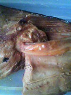 魚のアラ第6段!!鮪の焼き肉タレ漬け焼き-レシピのメイン写真