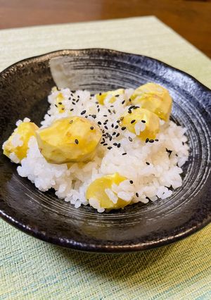 秋満載〜ふっくら栗ご飯-レシピのメイン写真