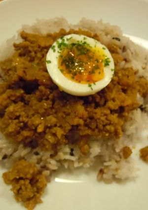 すりゴマたっぷりスパイシードライカレー☆-レシピのメイン写真