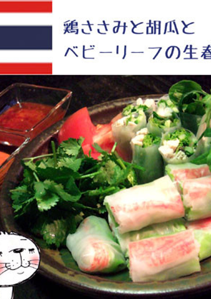 鶏ささみと胡瓜とベビーリーフの生春巻き-レシピのメイン写真