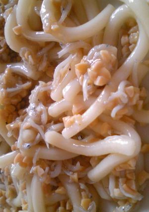 納豆しらすうどん-レシピのメイン写真