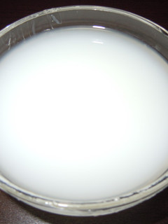 カルピスゼリー-レシピのメイン写真