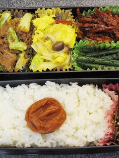 記録用☆チンジャオロース弁当-レシピのメイン写真