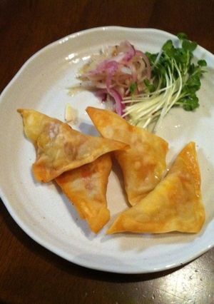 ワンタン de サムサ-レシピのメイン写真