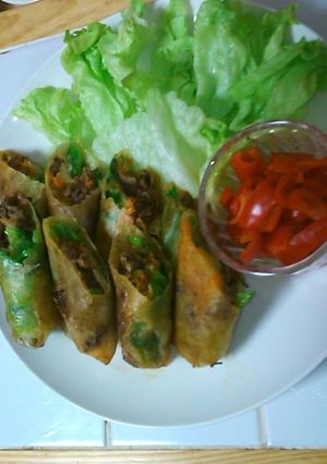 簡単！揚げない！超ヘルシー★生野菜春巻き-レシピのメイン写真