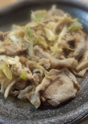 豚ねぎ炒め 丼にもおかずにも、ランチにも-レシピのメイン写真