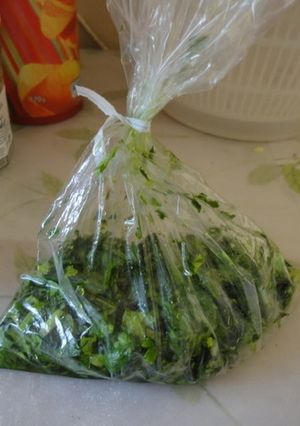 セロリの葉　ハーブとして活用-レシピのメイン写真