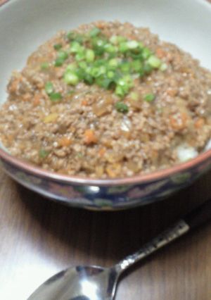 挽肉と野菜のトロ～リ餡かけ丼♪-レシピのメイン写真