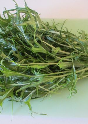 しなびた水菜復活法✦-レシピのメイン写真