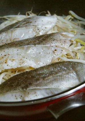 時短ヘルシーな白菜とモヤシの鱈乗せ蒸し煮-レシピのメイン写真