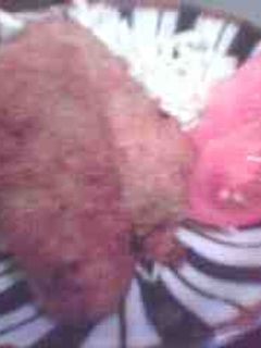 我が家の美味しいコロッケ♪-レシピのメイン写真