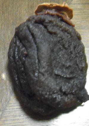 干し柿の保存方法～やっこくなる～-レシピのメイン写真