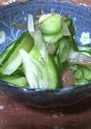 きゅうりの塩もみ-レシピのメイン写真