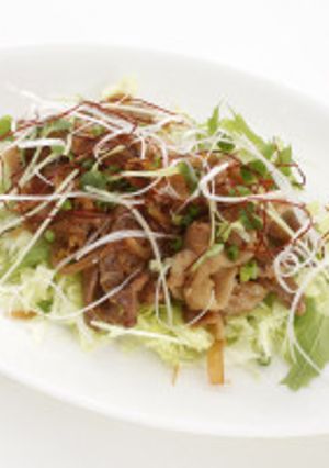 あぐ〜肉とパパイヤのスタミナ丼-レシピのメイン写真