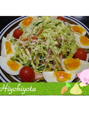 簡単　切って混ぜるだけキャベツナサラダ-レシピのメイン写真