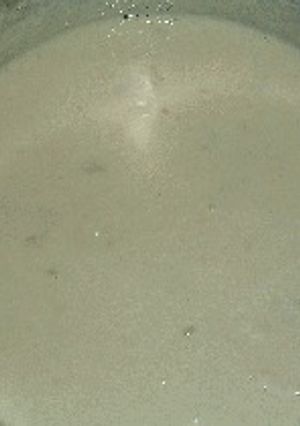ホワイトソース-レシピのメイン写真