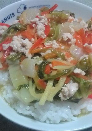 たっぷり★野菜生姜餡丼-レシピのメイン写真