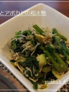 ほうれん草とアボカドのしらす和え-レシピのメイン写真