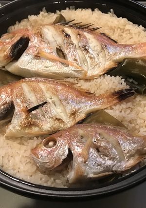 土鍋で鯛めし-レシピのメイン写真