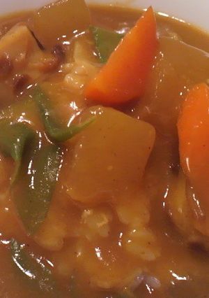 和カレー-レシピのメイン写真