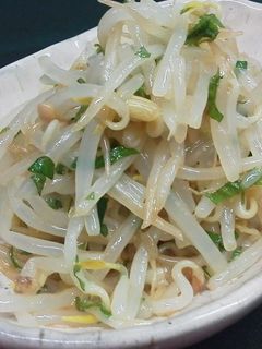もやしのさっぱりナムル-レシピのメイン写真