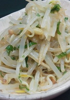 もやしのさっぱりナムル-レシピのメイン写真