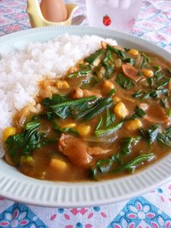 ✤ポパイカレー✤ 簡単!美味しい!元気!-レシピのメイン写真
