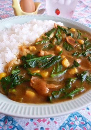 ✤ポパイカレー✤　簡単!美味しい!元気!-レシピのメイン写真