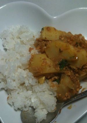 チキンカレー・アルバート風-レシピのメイン写真