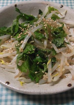 大葉ともやしのごま油和え-レシピのメイン写真