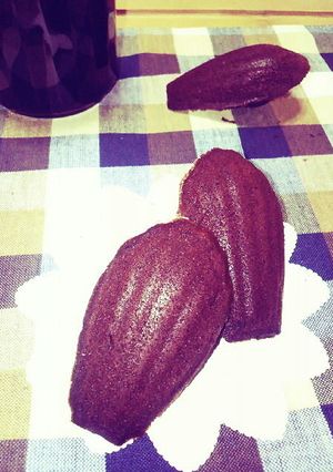 ふわふわ＊チョコマドレーヌ＊-レシピのメイン写真
