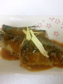 味噌が濃い!さばの味噌煮-レシピのメイン写真