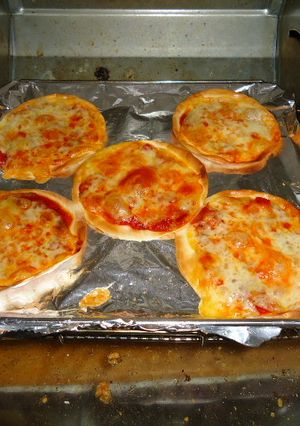 余った餃子の皮で-レシピのメイン写真