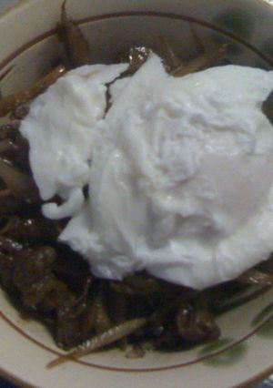 トロトロ玉子が美味しい牛ごぼう丼-レシピのメイン写真