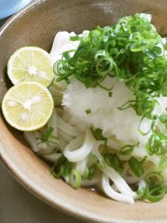 四国で食べた大根おろしうどん-レシピのメイン写真