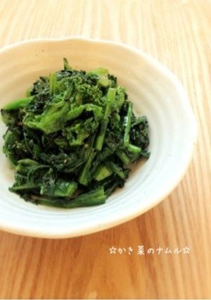 ☆かき菜のナムル☆-レシピのメイン写真