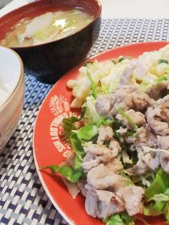 豚肉の塩しょうが焼き-レシピのメイン写真