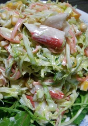 男Meshi☆絶品コールスロー-レシピのメイン写真