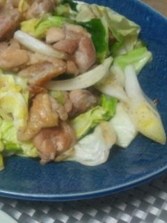 シンプルに♪鶏ネギ塩山椒炒め★ -レシピのメイン写真