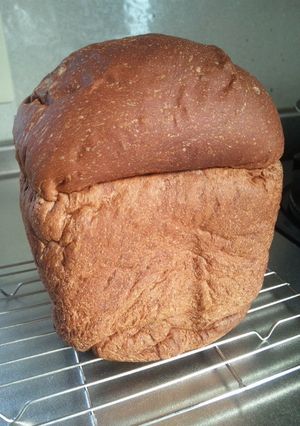 HBでココアパン-レシピのメイン写真
