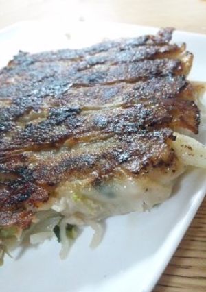シャキシャキ野菜の餃子-レシピのメイン写真