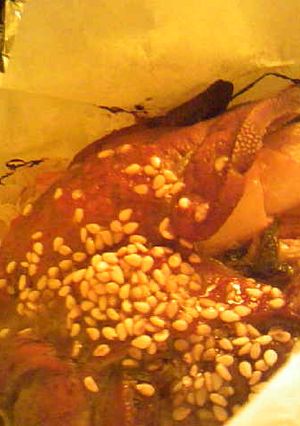 大根のつま豚レバーのキムチ焼肉のタレ焼き-レシピのメイン写真