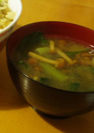 ✿なめことほうれん草のお味噌汁✿-レシピのメイン写真