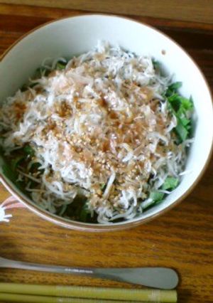 簡単１人ランチに♪釜あげしらす丼-レシピのメイン写真