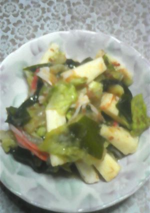 ワカメ入り野菜サラダ-レシピのメイン写真