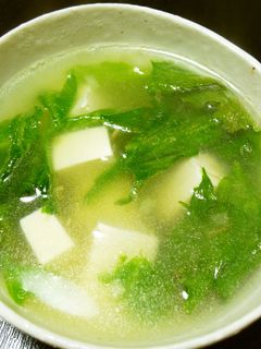 風邪に!生姜ネギ入り☆ぽかぽか豆腐スープ-レシピのメイン写真