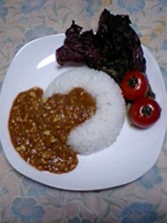 大豆のキーマカレー-レシピのメイン写真